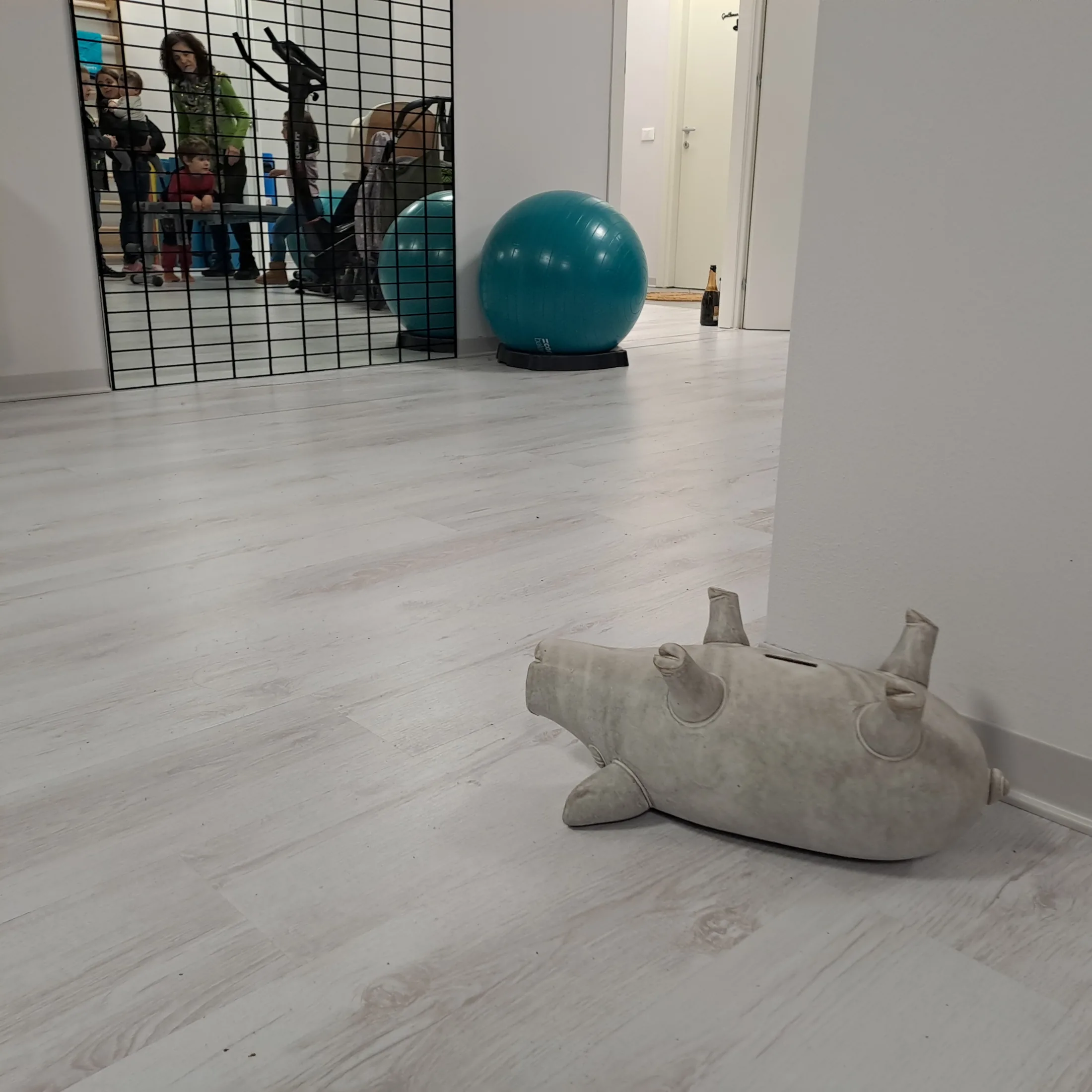 Ginnastica funzionale